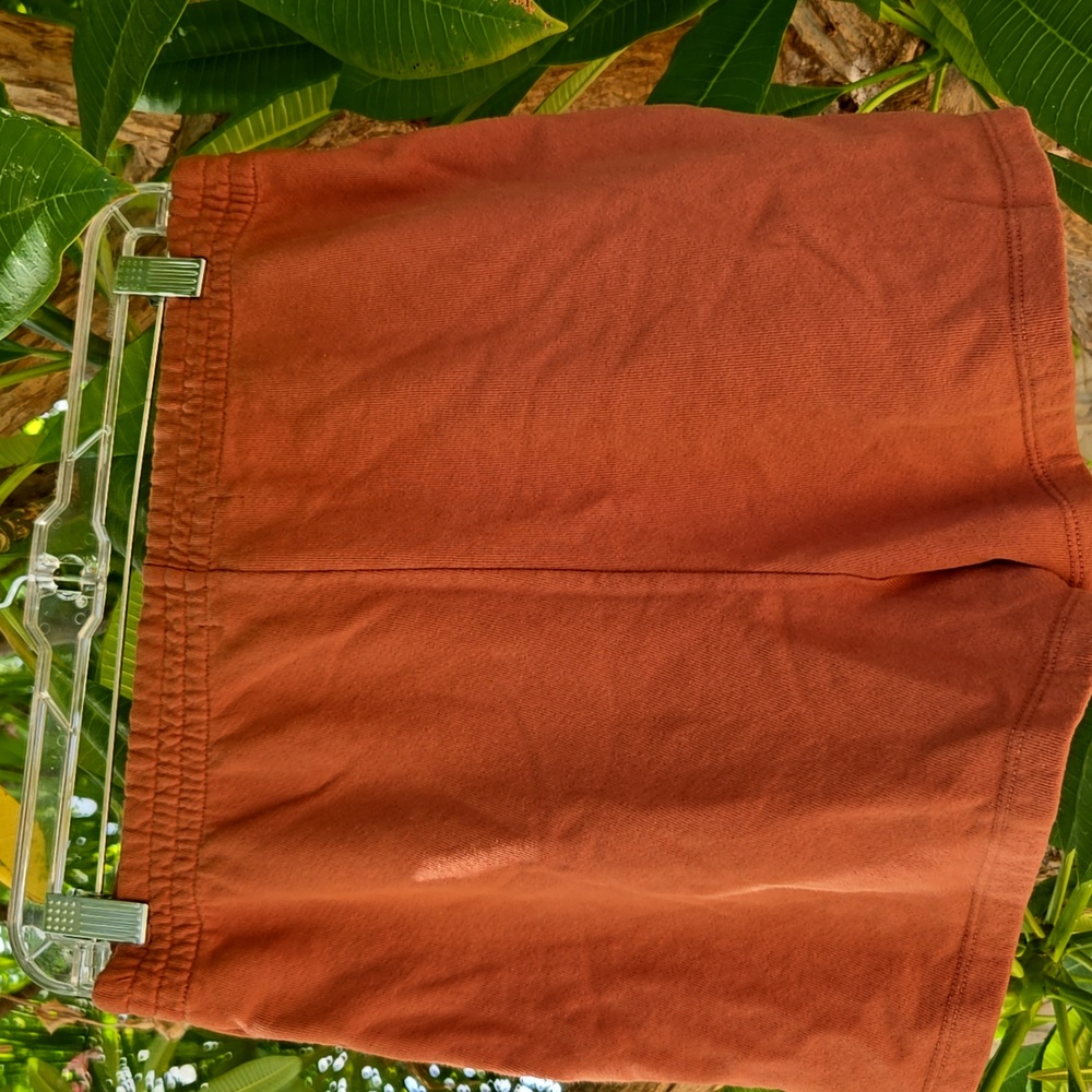 DAYDREAMER Horse of GF Sweat Short in Stable - Picture 6 of 6